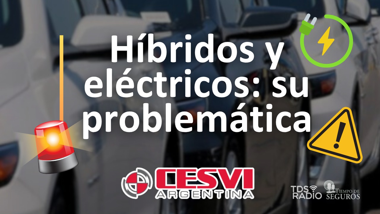 Contamos con la palabra de Diego Ligotti, gerente técnico de Cesvi Argentina, para abordar la problemática de los autos híbridos, los eléctricos y los chinos; sus costos de reparaciones, el nivel de seguridad de los mismos, y más.